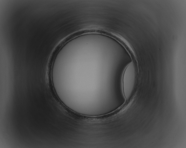 X0000100960783200806241142