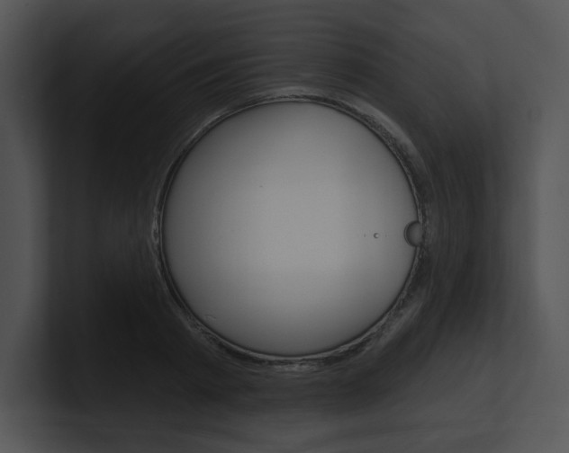 X0000100960793200806241142