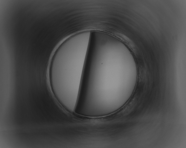 X0000100960796200806241142