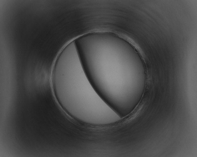 X0000100960803200806241142