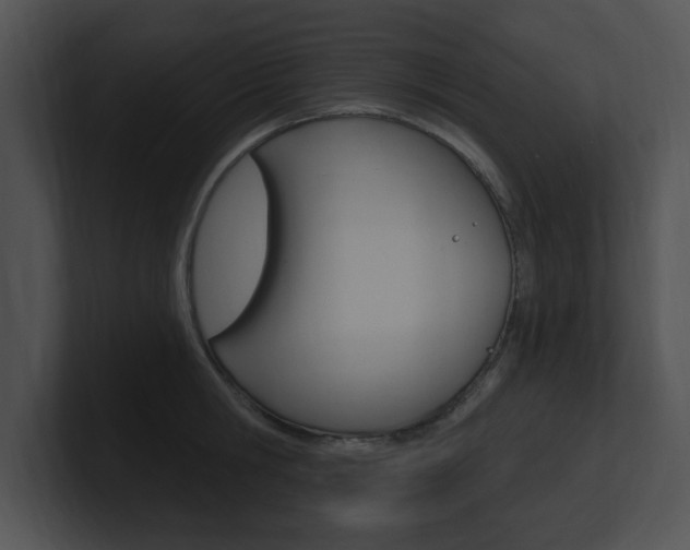 X0000100960806200806241142
