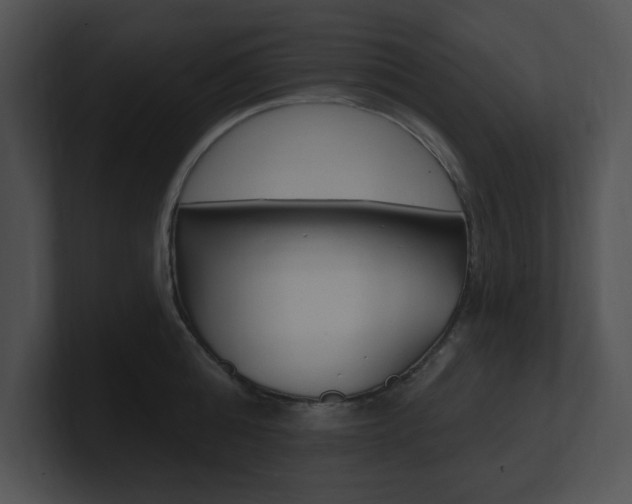 X0000100960808200806241142