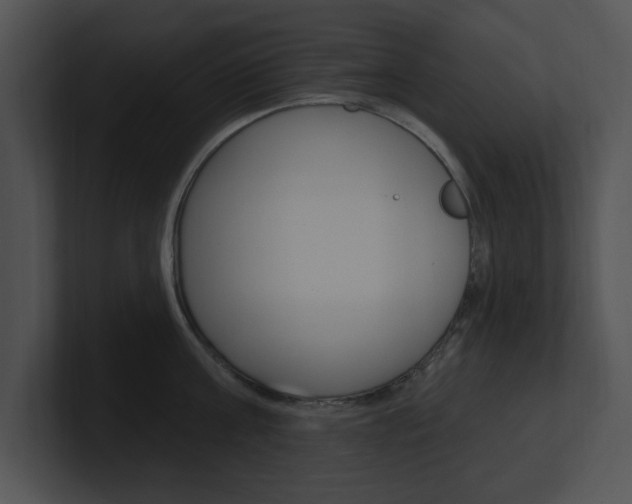 X0000100960811200806241142