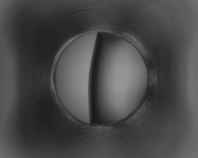 X0000100960812200806241142
