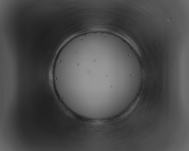 X0000100960814200806241142