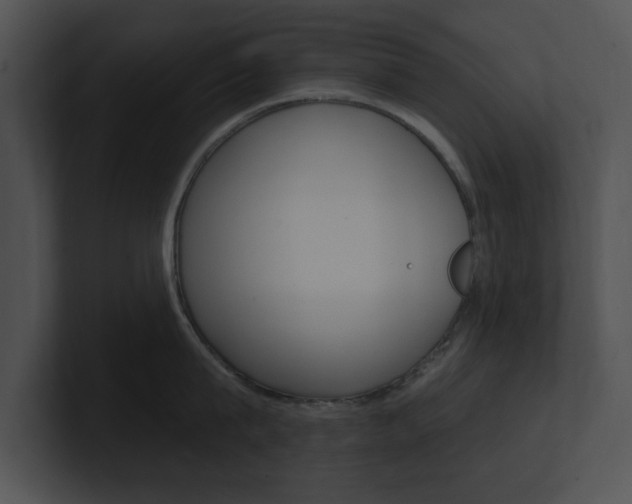 X0000100960815200806241142