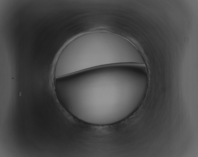X0000100960816200806241142