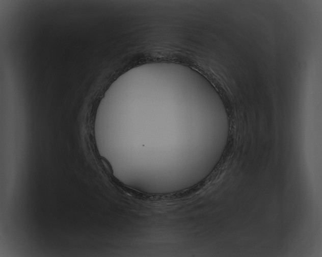 X0000100960817200806241141