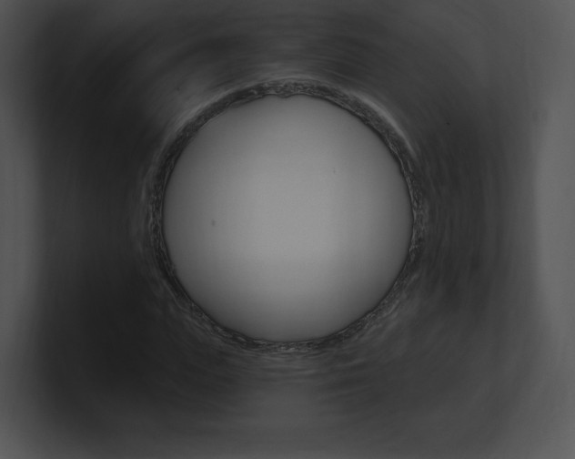 X0000100960823200806241141