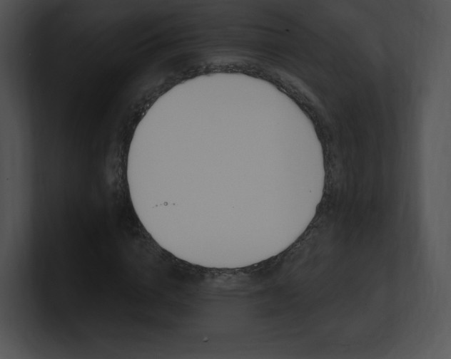 X0000100960824200806241141