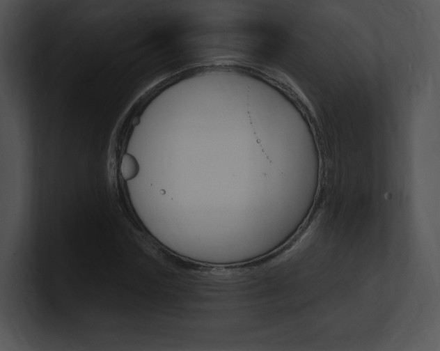 X0000100960827200806241141