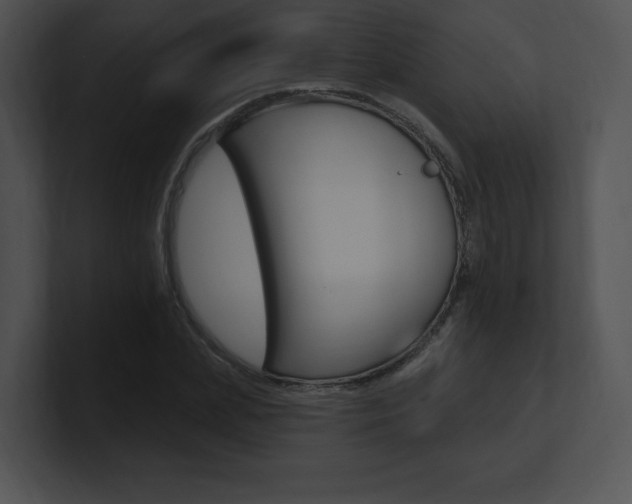 X0000100960831200806241141