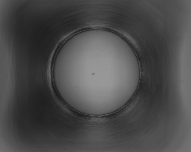 X0000100960840200806241141