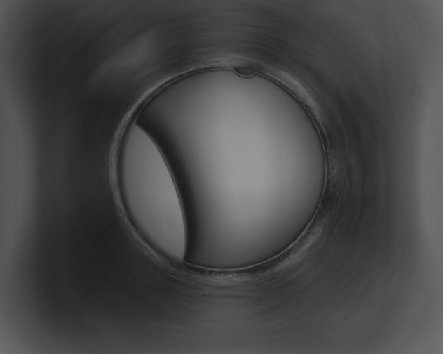 X0000100960843200806241142
