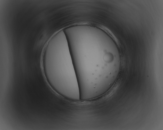 X0000100960851200806241142