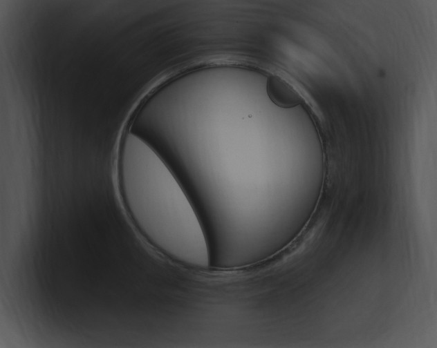 X0000100960853200806241142