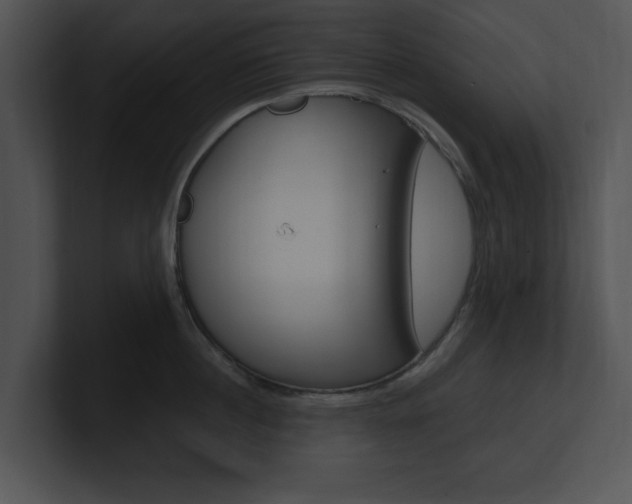 X0000100960860200806241142