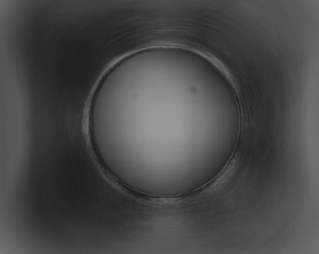 X0000100960862200806241142