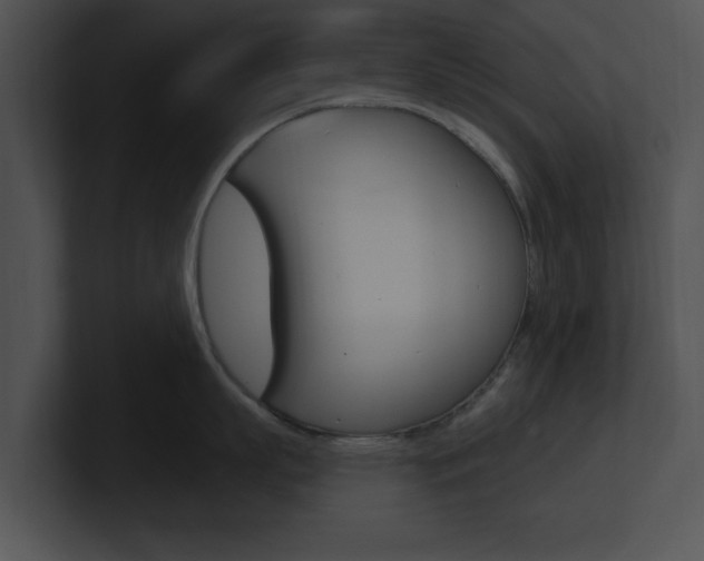 X0000100960863200806241142