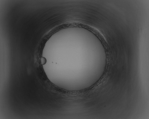 X0000100960871200806241141