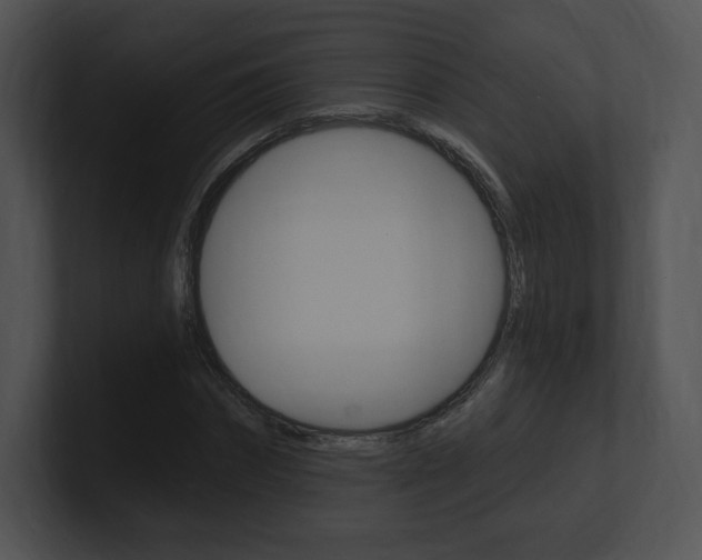 X0000100960874200806241141