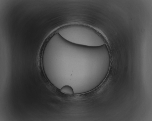 X0000100960879200806241141