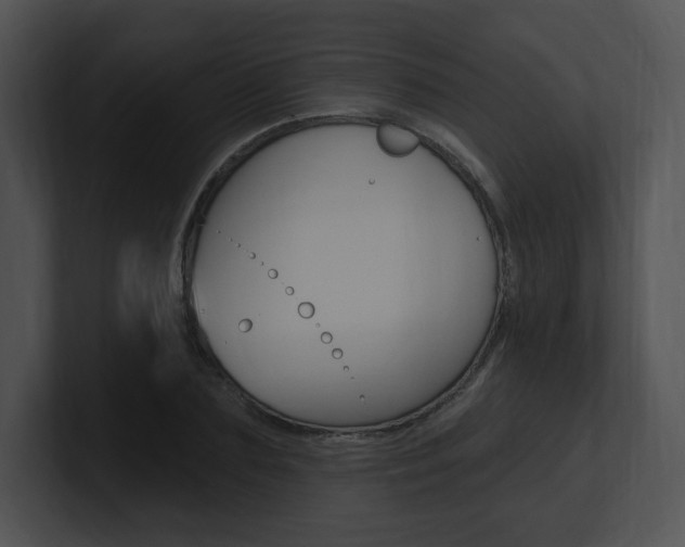 X0000100960883200806241141