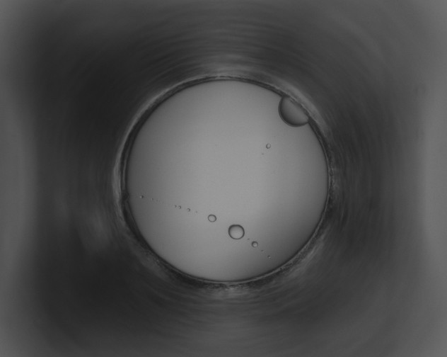 X0000100960891200806241141