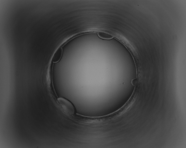 X0000100960892200806241141