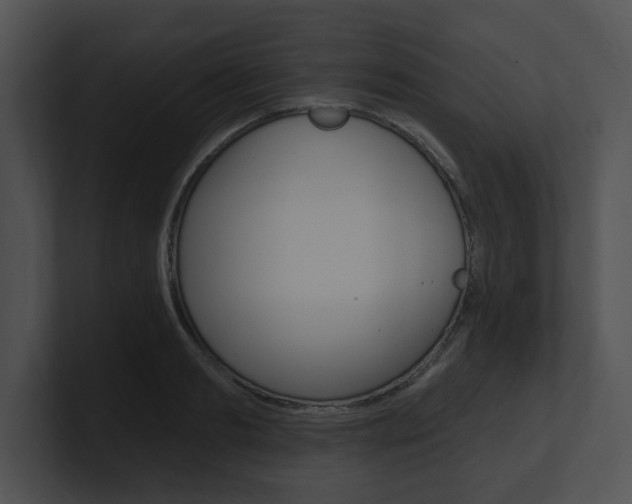 X0000100960893200806241141