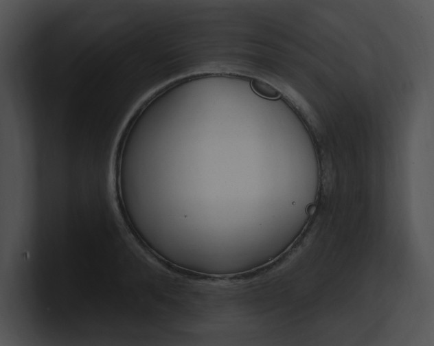 X0000100960896200806241141