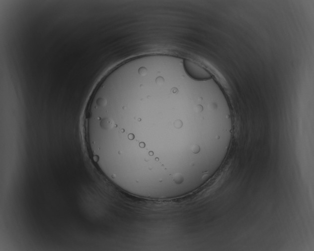 X0000100960899200806241141