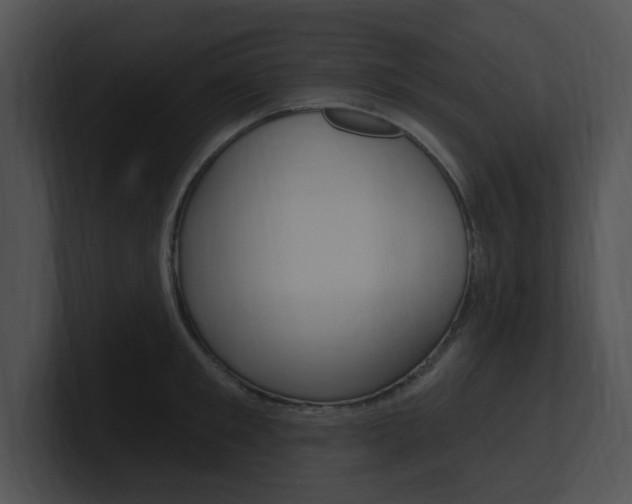 X0000100960901200806241141