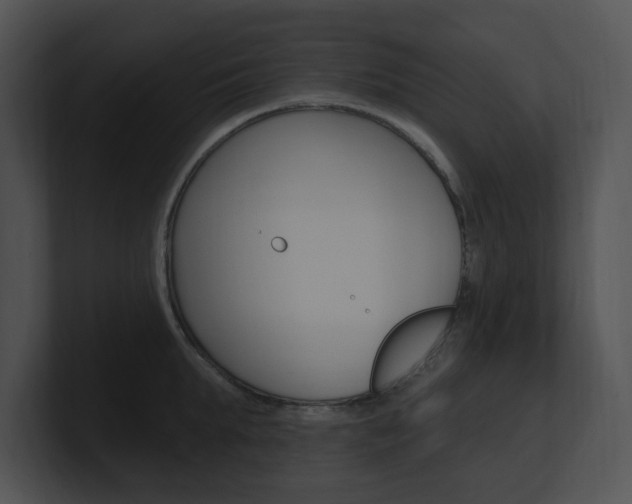 X0000100960903200806241141