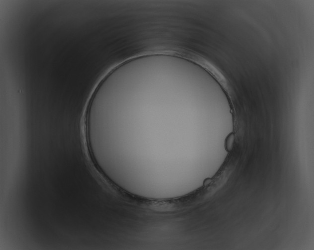 X0000100960907200806241141