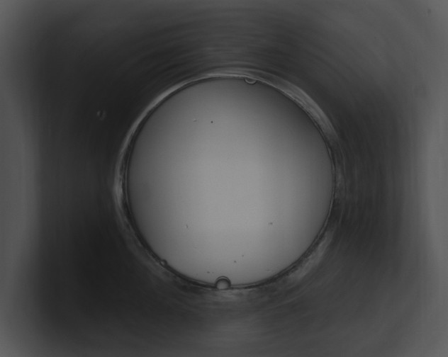 X0000100960908200806241141