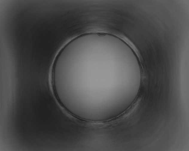 X0000100960909200806241141