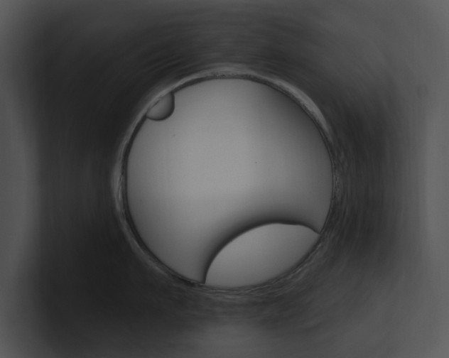 X0000100960911200806241141
