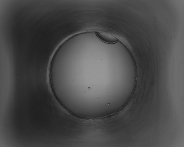 X0000100960912200806241141