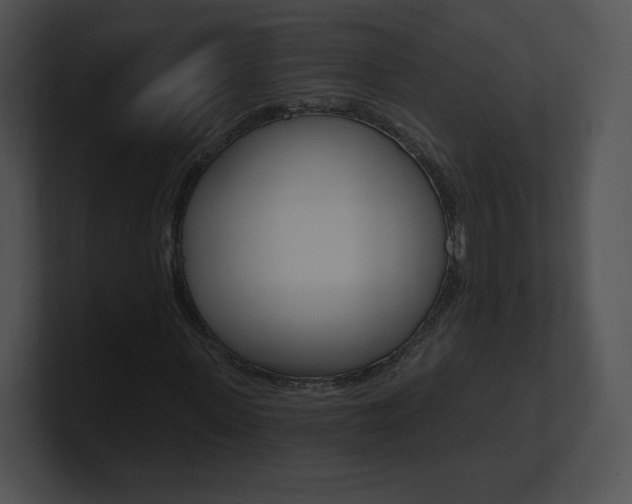 X0000100960915200806241140