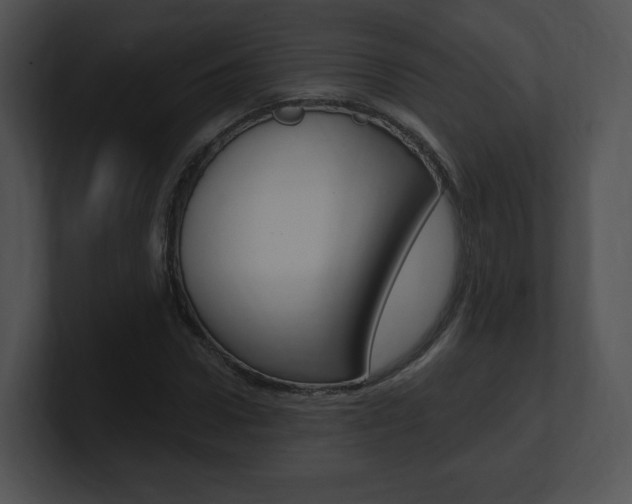 X0000100960922200806241140