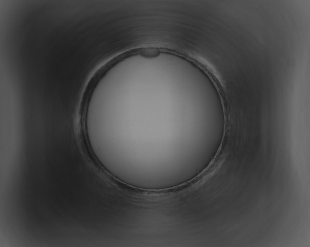 X0000100960928200806241140