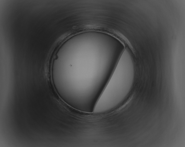 X0000100960930200806241140