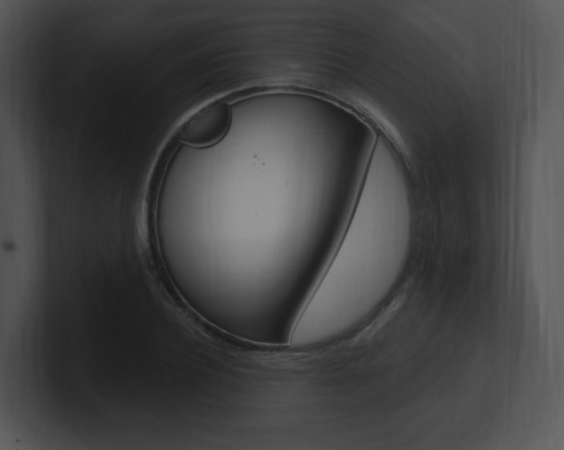 X0000100960932200806241140