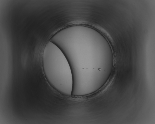 X0000100960937200806241140
