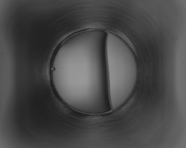 X0000100960939200806241140