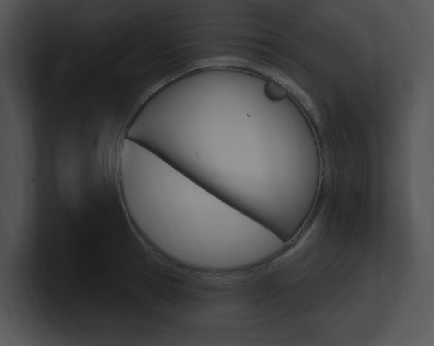 X0000100960945200806241140