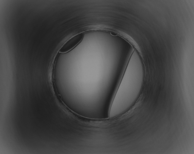 X0000100960946200806241140