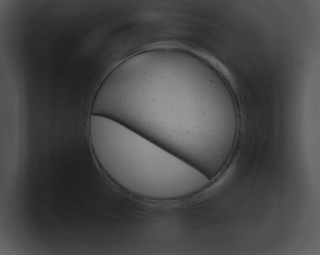 X0000100960953200806241140