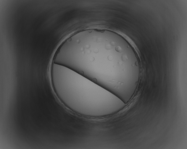 X0000100960957200806241140